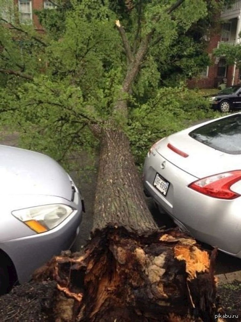 Ne jedan, nego dvojica koje prati luda sreća!
