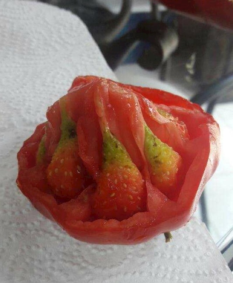 Jagode u rajčici???
