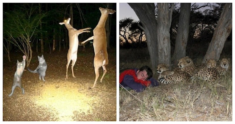 17 fotki za koje bismo voljeli znati kako su nastale i što se na njima događa