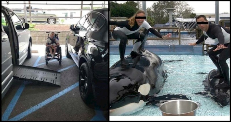 16 fotki zbog kojih ćete se sramiti što ste ljudskog roda!