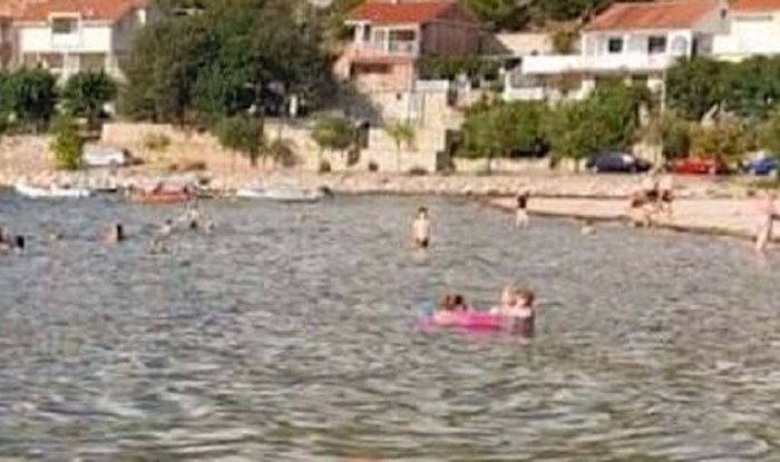 Djedica s mora kralj je ljeta i hit u regiji, odmah će vam biti jasno zašto