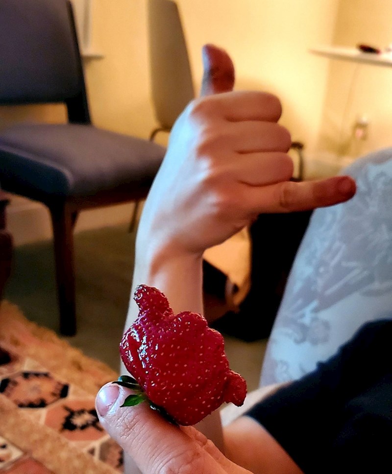 Jagoda zna znanje 😎