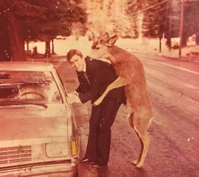 "Stara fotka tatinog prijatelja kojeg je zaskočio jelen. Tada definitivno nije bilo photoshopa!"