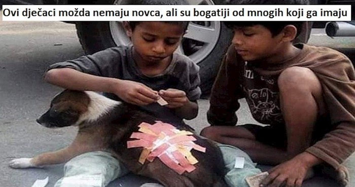 11 fotki koje prodiru ravno do srca i nikoga neće ostaviti ravnodušnim