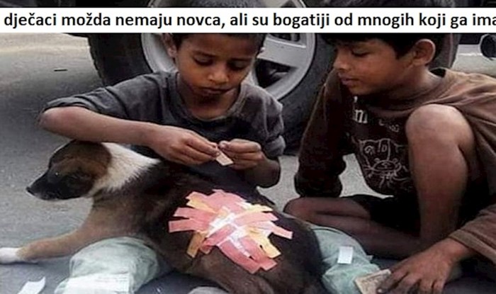 11 fotki koje prodiru ravno do srca i nikoga neće ostaviti ravnodušnim