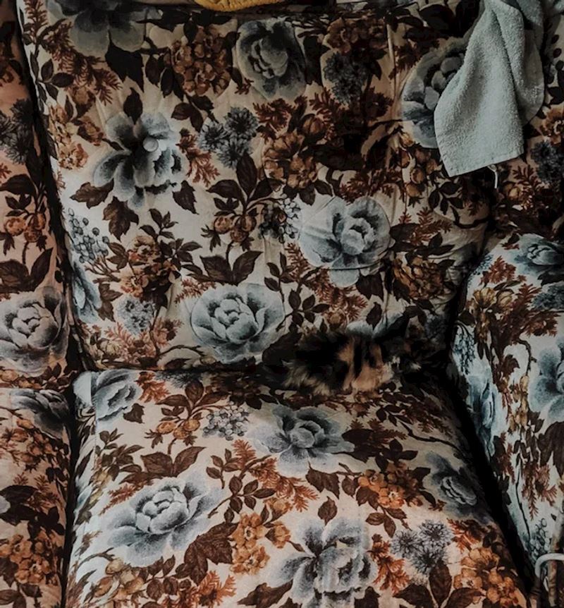 Mislila sam da sam izgubila mačku