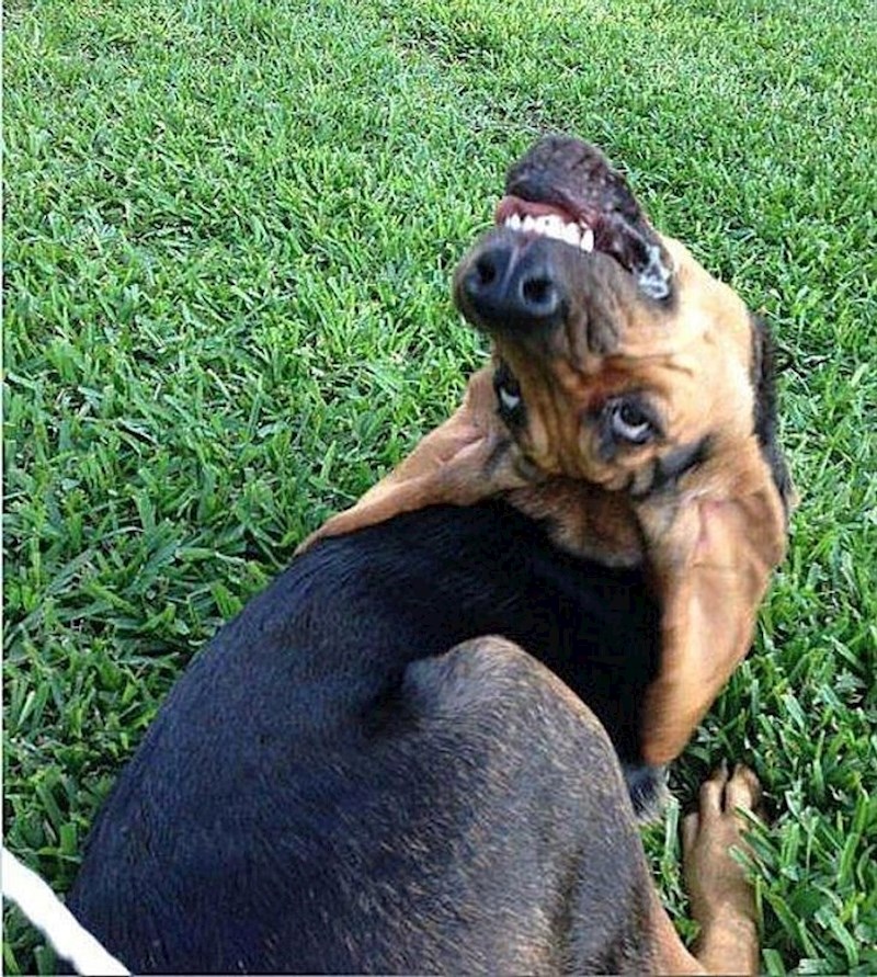 Trebamo li zvati egzorcista?