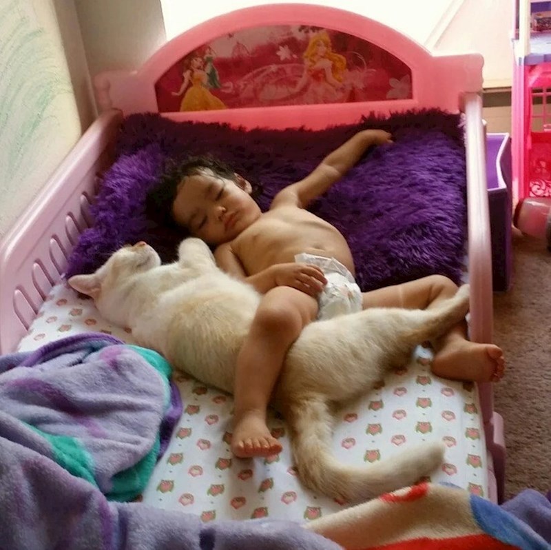 Prije nekoliko mjeseci se bojala životinja