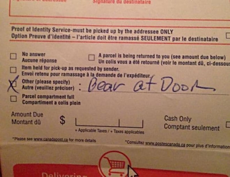 "Razlog što paket nije dostavljen je taj što se medvjed našao na ulaznim vratima"