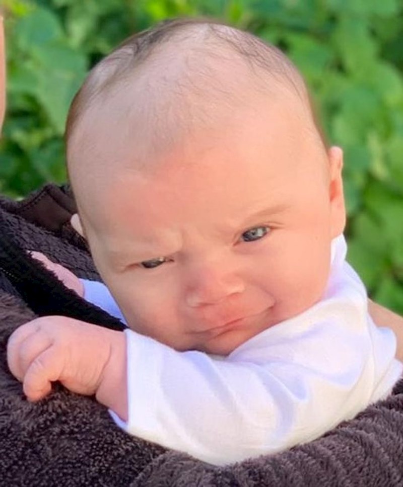 8. Ljut je jer su ga izveli su ga u šetnju, a htio je gledati Plodove zemlje