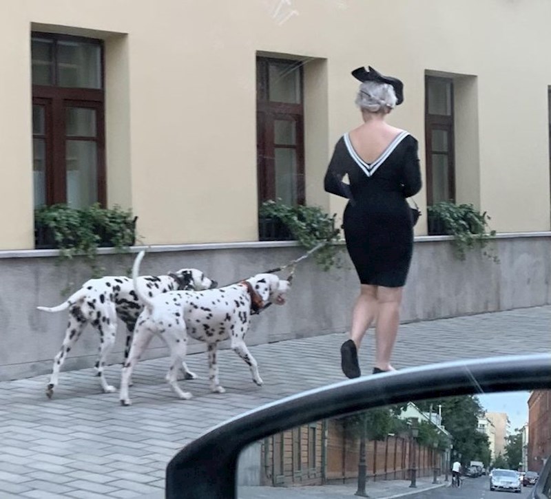 Ako ovo nije Cruella u stvarnom životu, onda ne znamo tko jest!