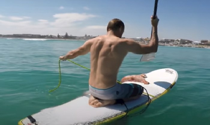 VIDEO Surferi su odmarali daleko od obale, a onda je jednu dasku zgrabila divovska lignja