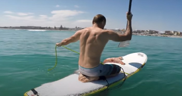 VIDEO Surferi su odmarali daleko od obale, a onda je jednu dasku zgrabila divovska lignja