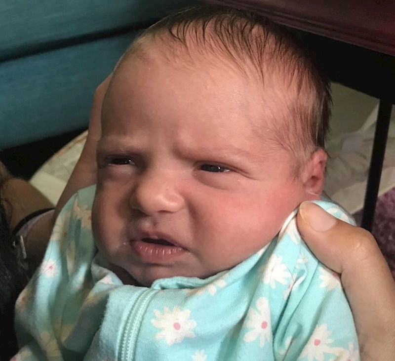 4. Opet mlijeko? Pa jutros sam to jela!