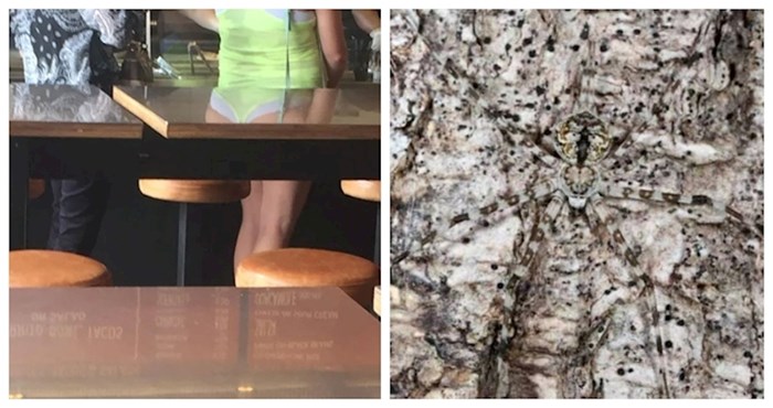 15 fotki koje će vam izgledati sasvim normalno, dok ne pogledate bolje