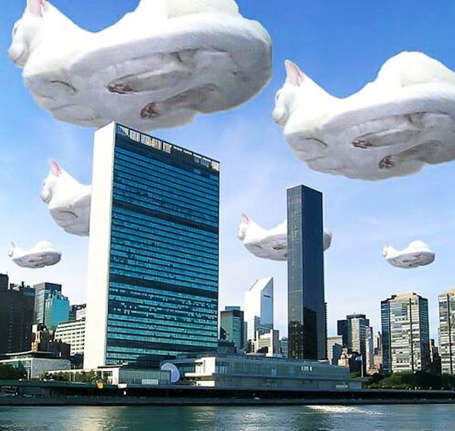 8.