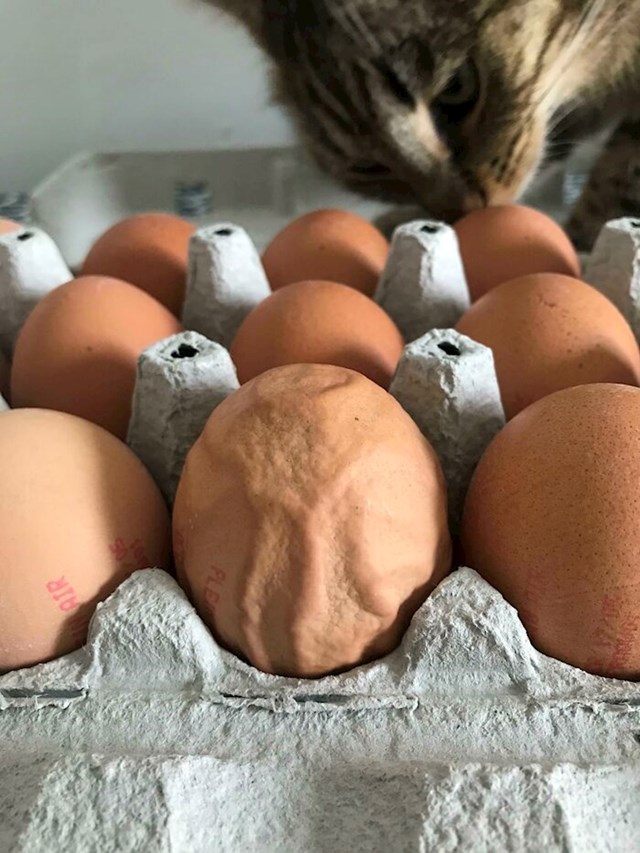 Naborano jaje