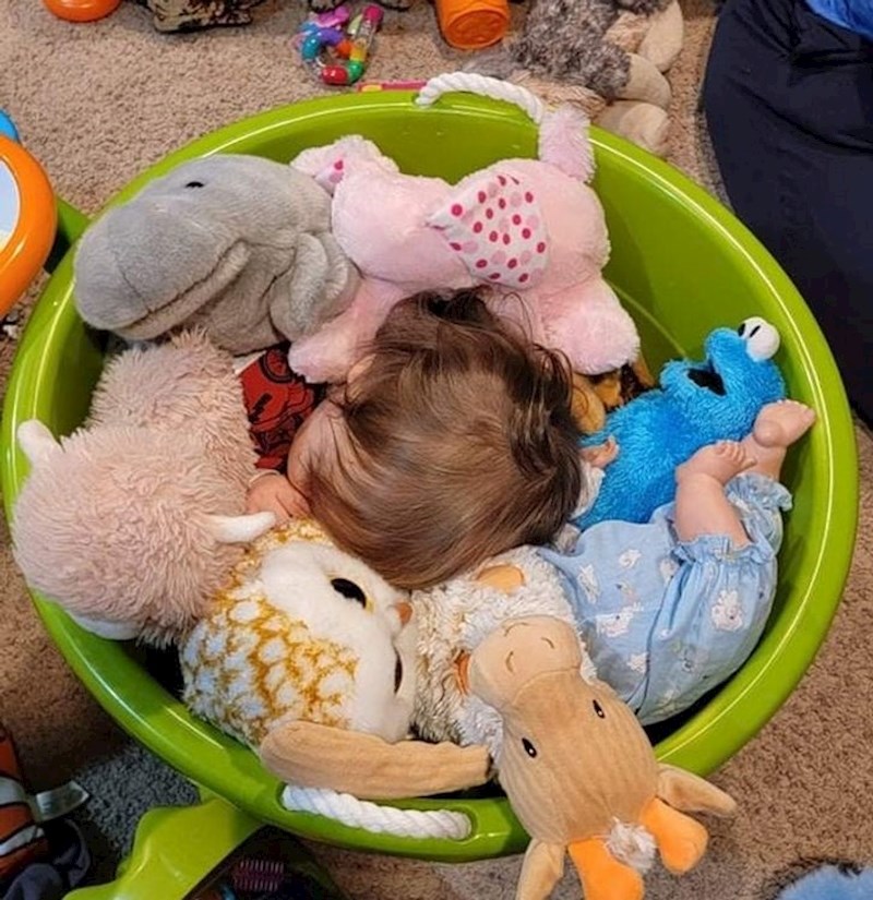 "Imao je težak dan pa se skrio na svoje omiljeno mjesto- među svoje igračke!"