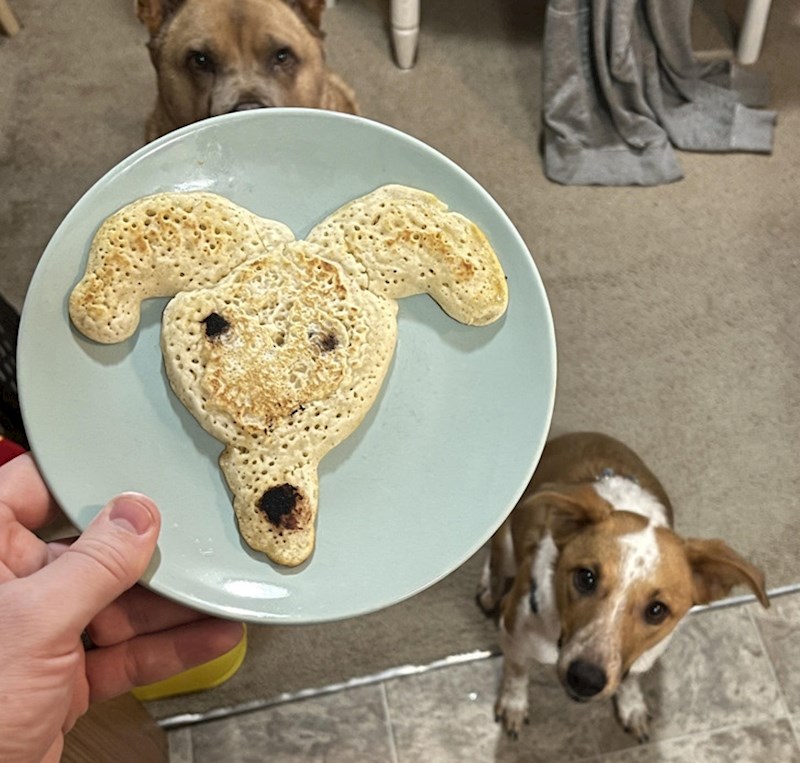 "Vidite li sličnost?"