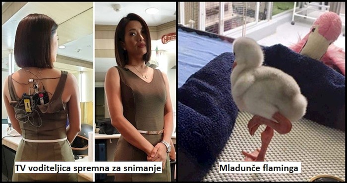 16 fotki koje otkrivaju rijetko viđenu stranu poznatih stvari