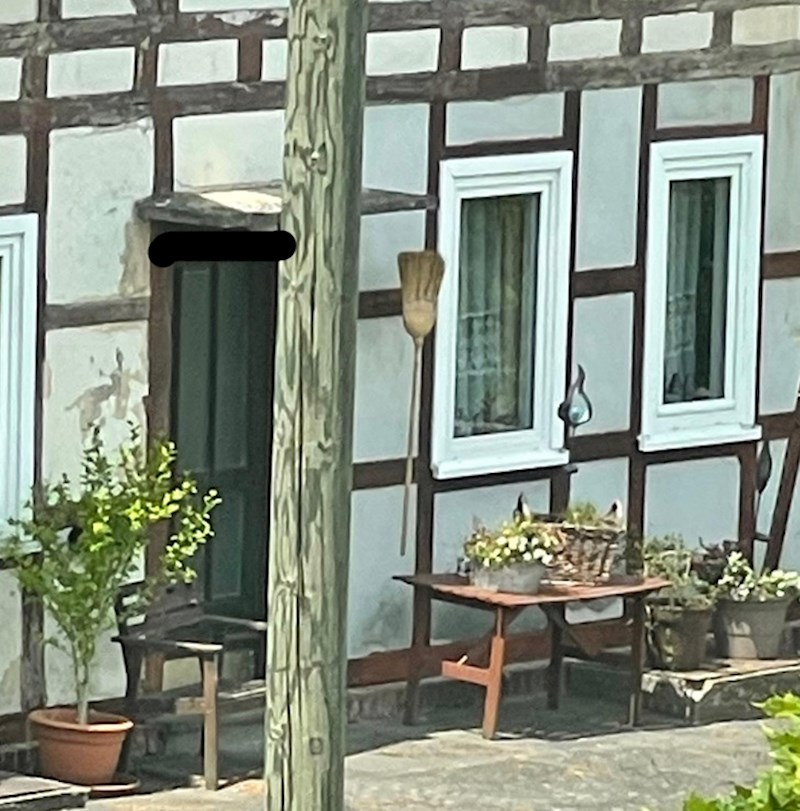 Susjedova metla levitira?