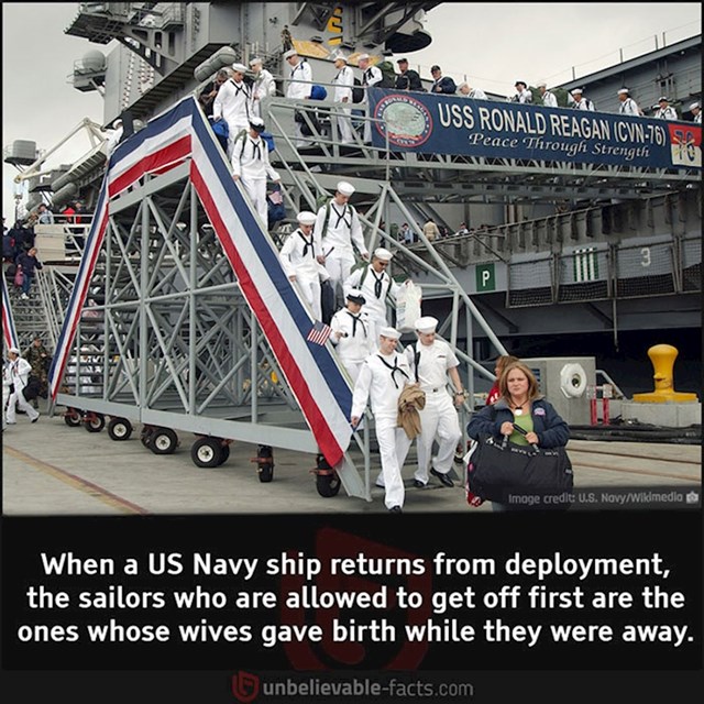 Kada se brod američke mornarice vraća iz misije, prednost kod iskrcavanja imaju članovi posade koji su dobili dijete dok su bili odsutni
