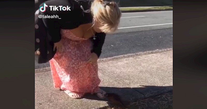 TikTokerica je prišla oposumu, ono što se tada dogodilo nasmijat će vas do suza