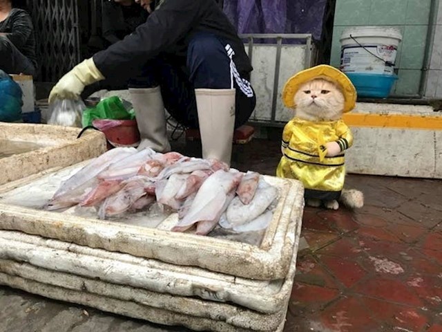 Stalna zaposlenica jedne tržnice u Vijetnamu