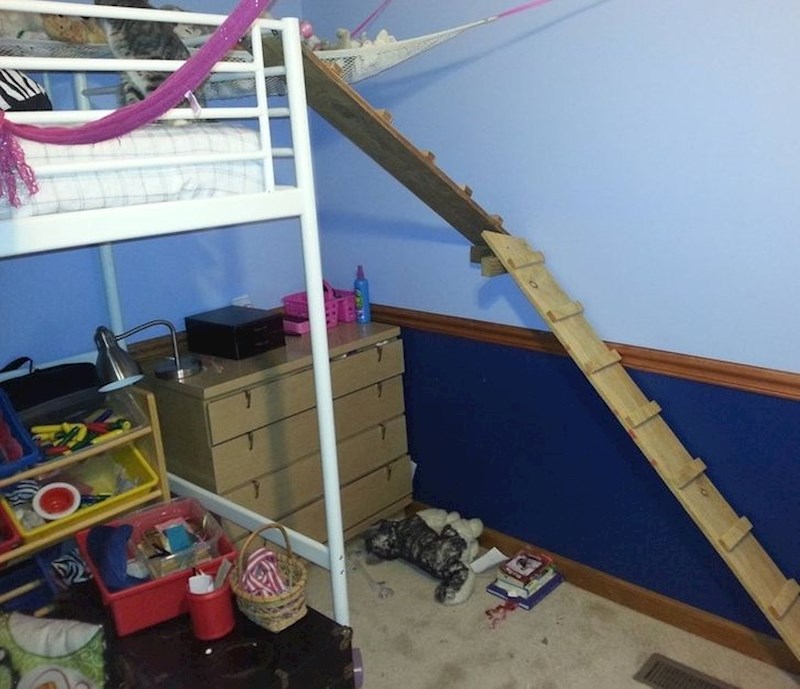 10. Kćer je spavala na podu jer se njezina maca nije mogla popeti na krevet. Tata je našao rješenje!