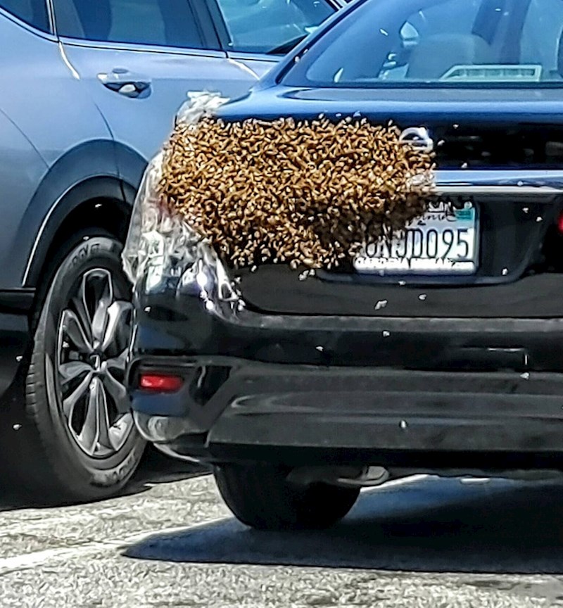 Bio sam u dućanu 10ak minuta. U to vrijeme se ovo događalo na parkingu