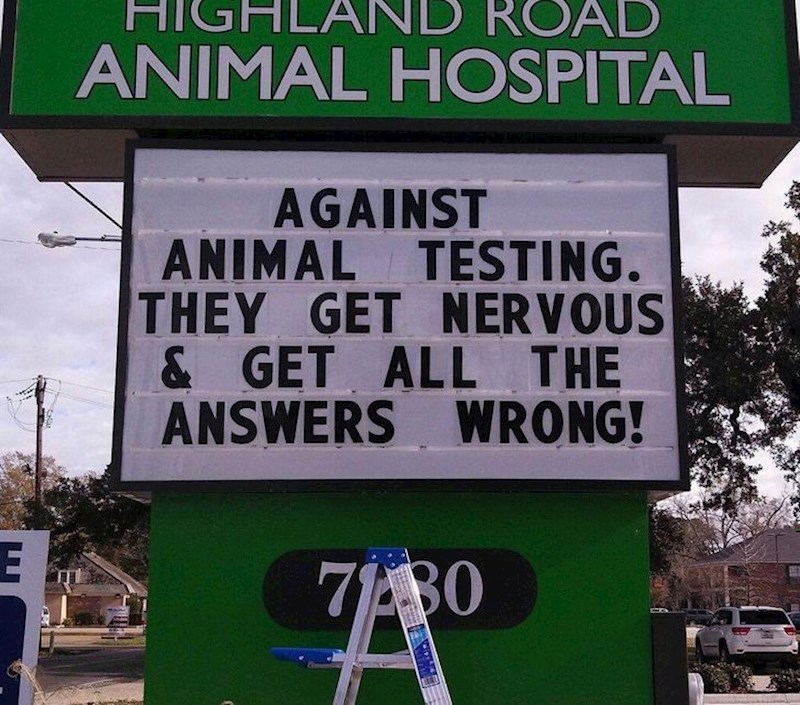 Protivnici smo testiranja na životinjama jer postanu nervozne i onda krivo odgovore sva pitanja!