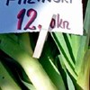 Na tržnici u Istri netko je primijetio urnebesan natpis, morate vidjeti kako su nazvali poriluk