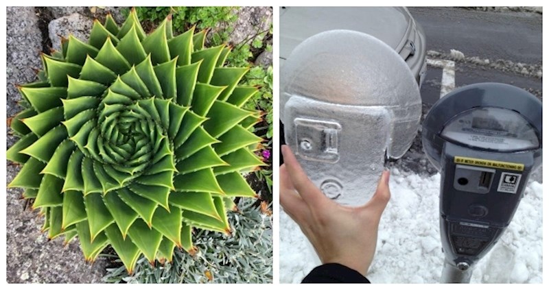 19 fotki koje izgledaju kao da su ispale iz najljepšeg sna svakog perfekcionista