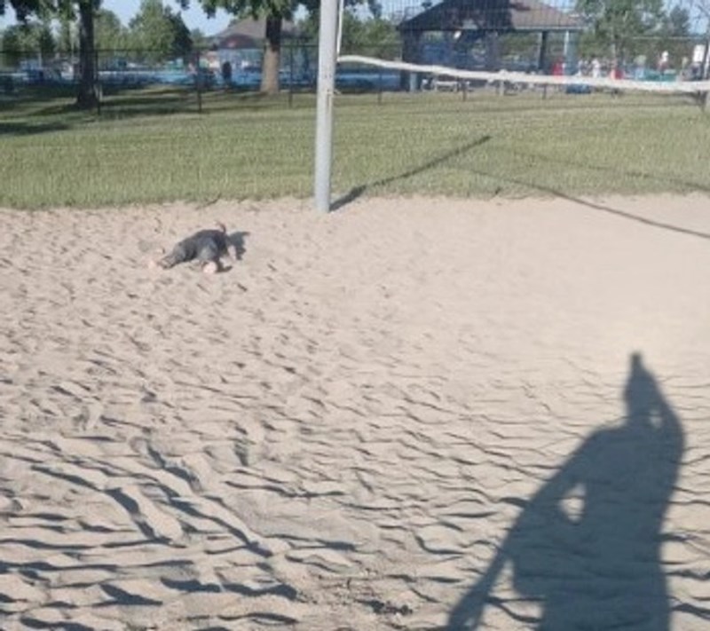 Treniram odbojku i sin je htio sa mnom vježbati. Ovo je on nakon 5 minuta