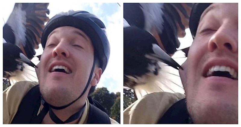 15 ljudi koje je peh čekao iza ugla i oni su to jednostavno morali podijeliti sa svima