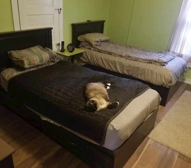 "Kupila je cijeli krevet za mačku, a po potrebi se mogu i ja poslužiti. Baka <3"