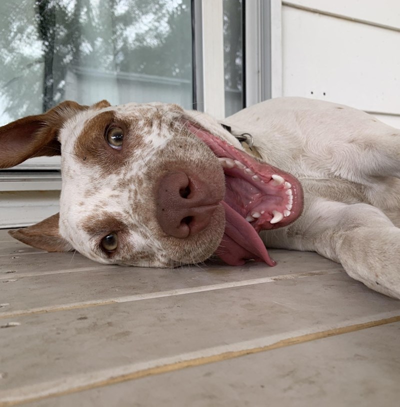 "Zaspao sam na trijemu i probudio se uz ovaj prizor"