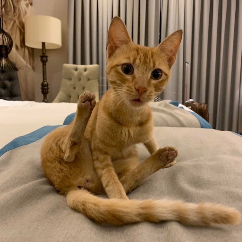 "Prvi put boravim u Turskoj, ulazim u sobu i pronađem ju na svom krevetu! Oduševljen sam"