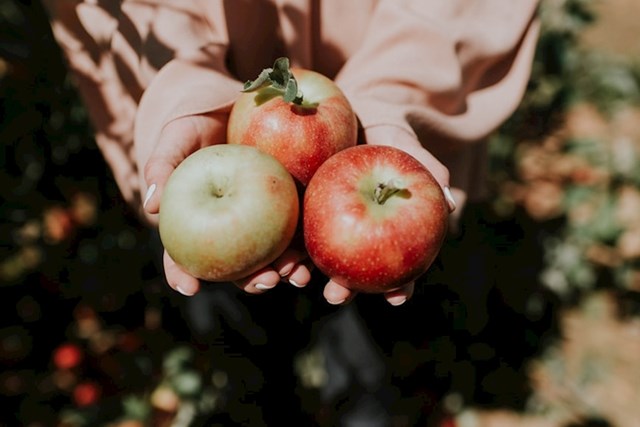 Postoji toliko vrsta jabuka da, kada biste jeli jednu vrstu dnevno, trebalo bi vam 20 godina da ih sve probate!