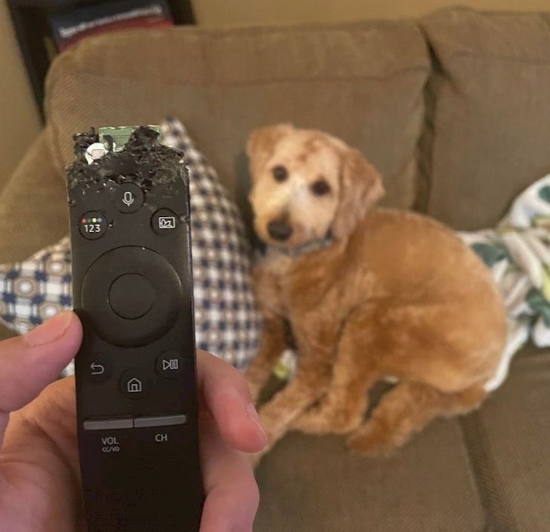 "Izgleda da mu njegovih 20 igrački nema taj slasni okus..."