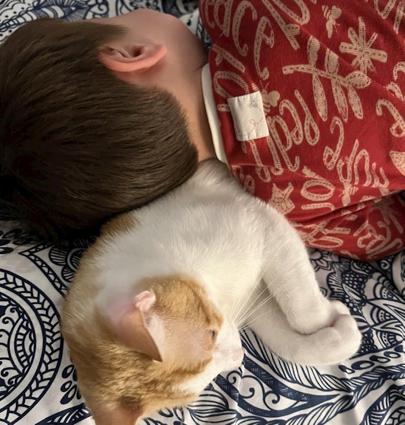 Bili smo zabrinuti kako će prihvatiti macu