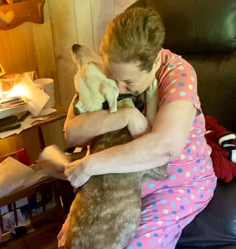 "Susjeda pati od teške depresije i svakodnevno ju posjećujem sa svojim psom jer je to barem nakratko razveseli"