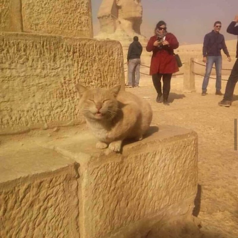 Najbolje ocijenjen vodič