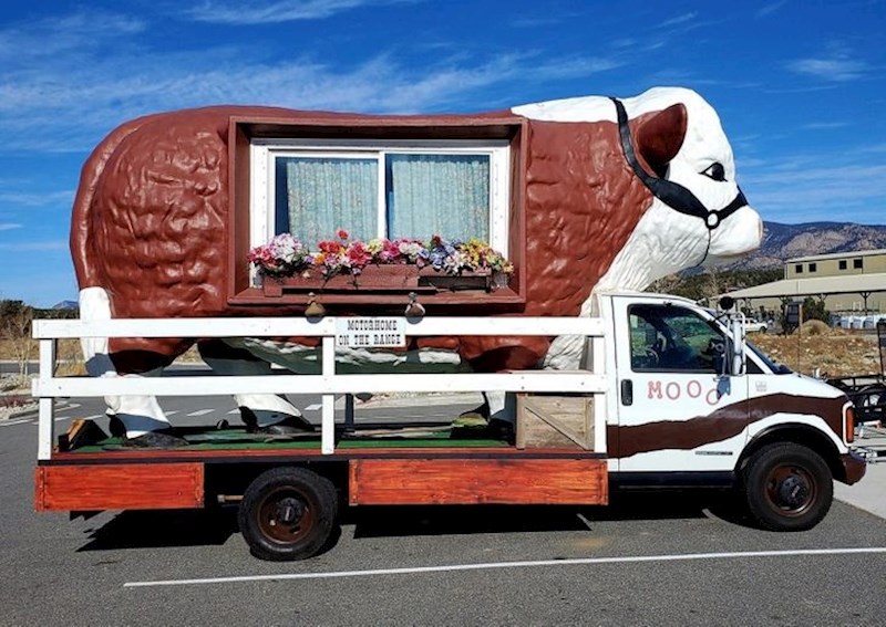 Ništa nam nije jasno...