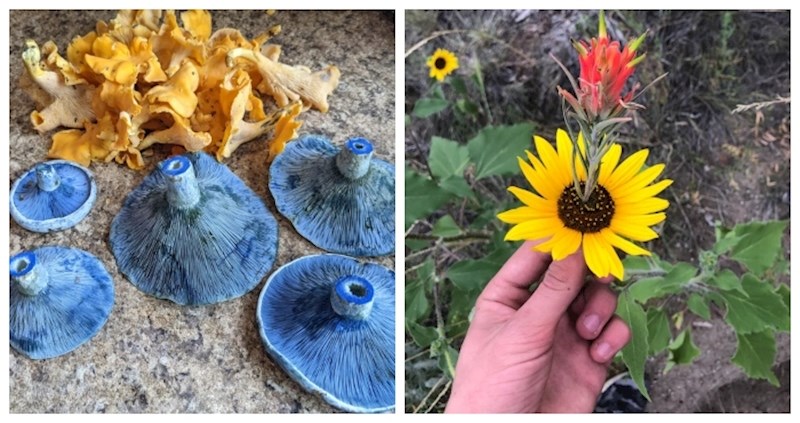 13 puta kada je priroda ljudima pripremila iznenađenje i ostavila ih bez daha