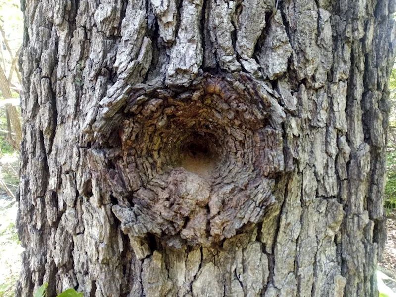 Deblo sa savršenim kraterom