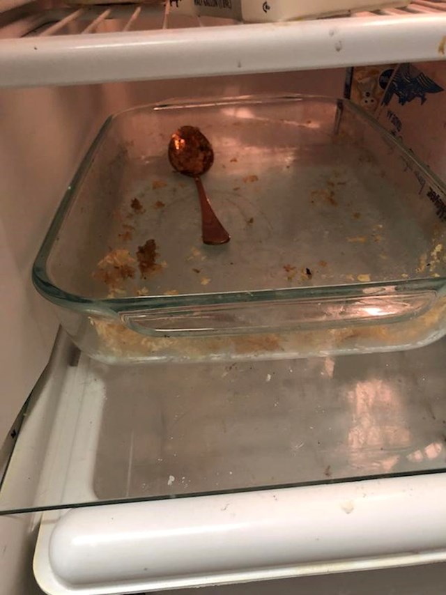 Vratila je praznu zdjelu u hladnjak...