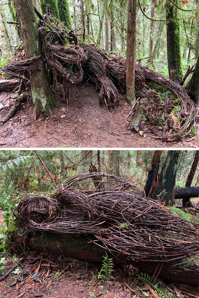 Park, gdje je umjetnik iz Vancouvera proveo većinu 2020. postavljajući prirodne skulpture u šumi
