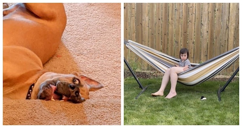 14 fotki na kojima vam, na prvi pogled, neće biti jasno što se događa