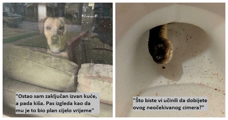 17 pehista koji bi voljeli da mogu zaboraviti ovaj dan